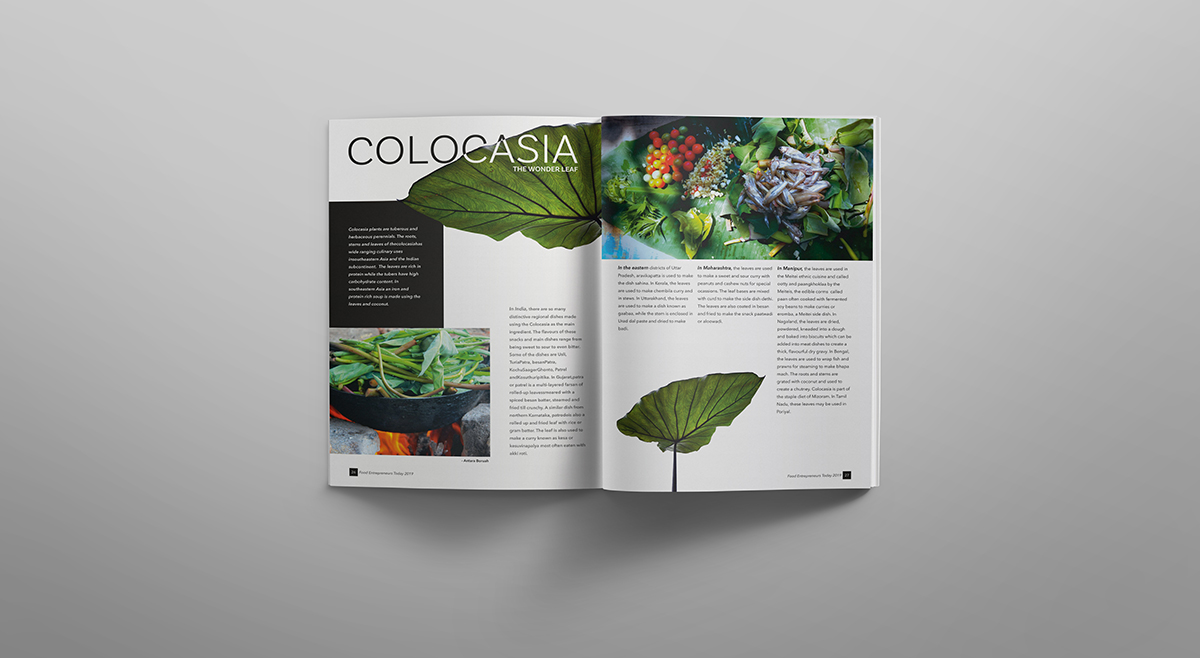 Brochure Inner Page