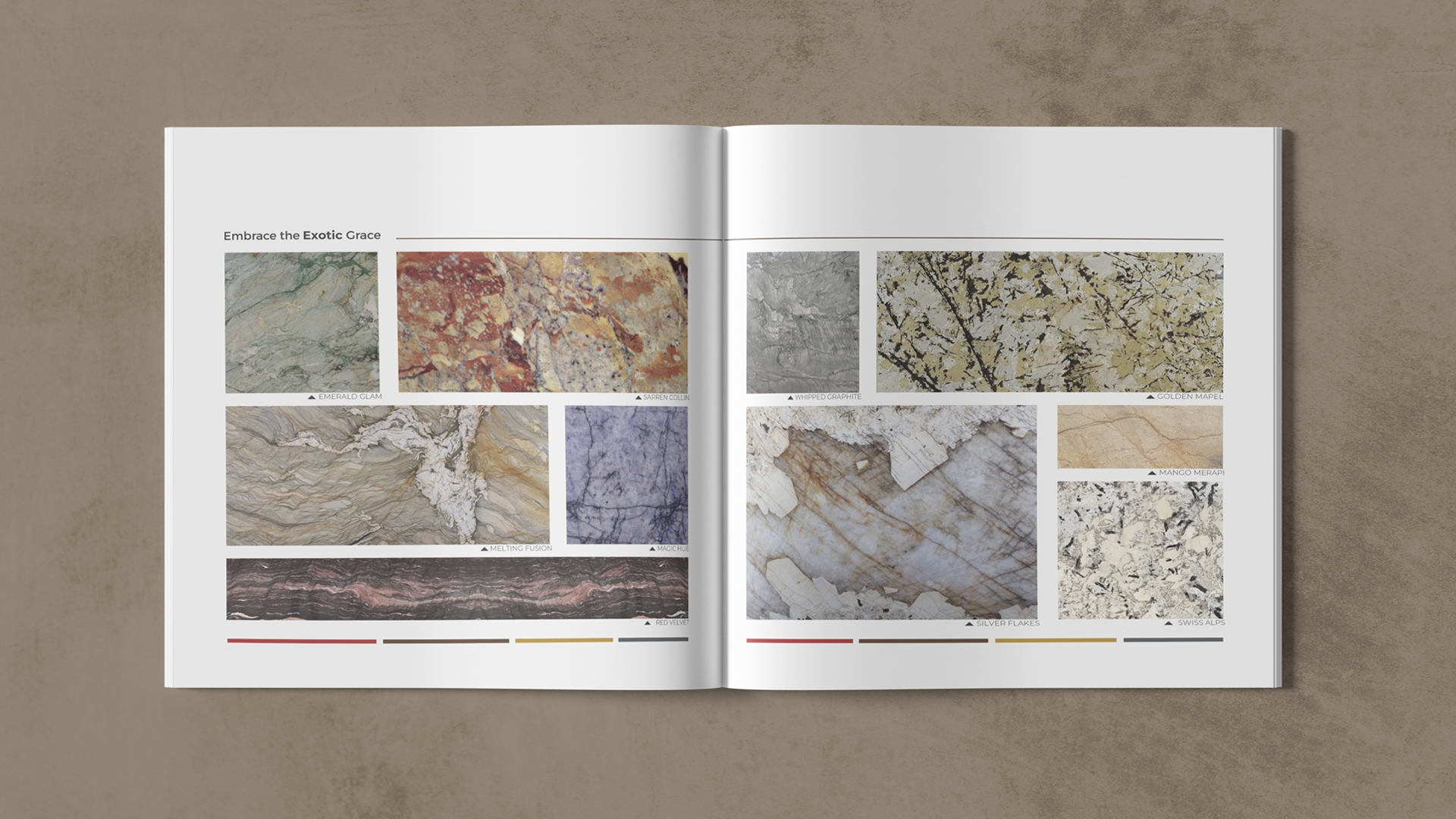 Stonyc Brochure