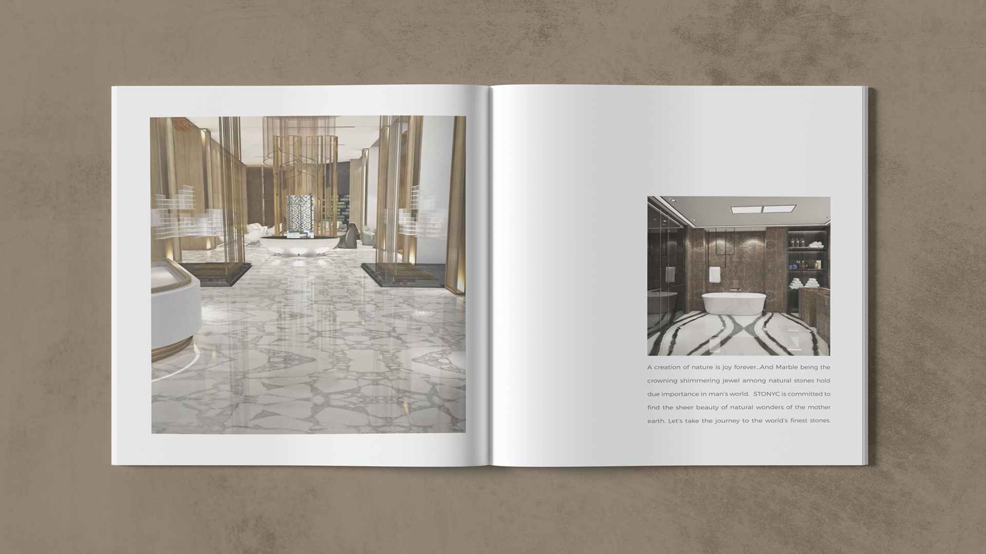 Stonyc Brochure